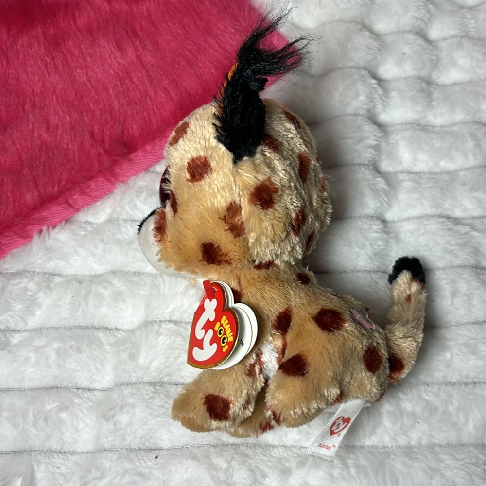 2015 Beanie Boos Ty Buckwheat 6” September 14 EUC - Picture 2 of 8